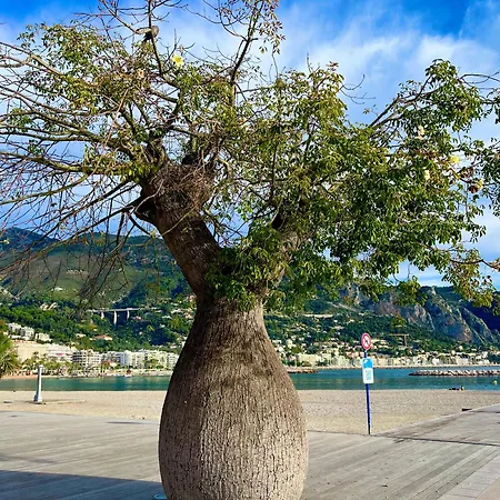 Magnifique Duplex Vue *