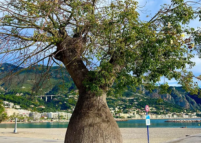 Magnifique Duplex Vue *